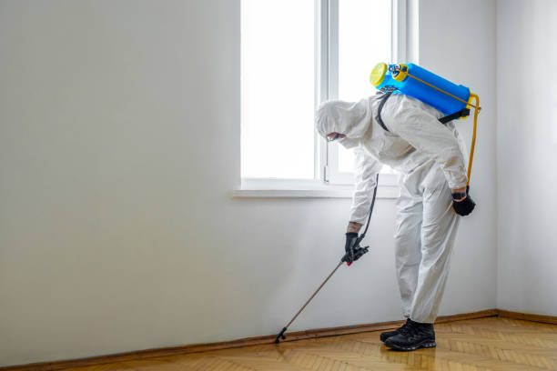 Pest Control for Hotels in Calverton Park, MO